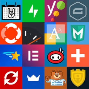 Wordpress Theme & Plugin